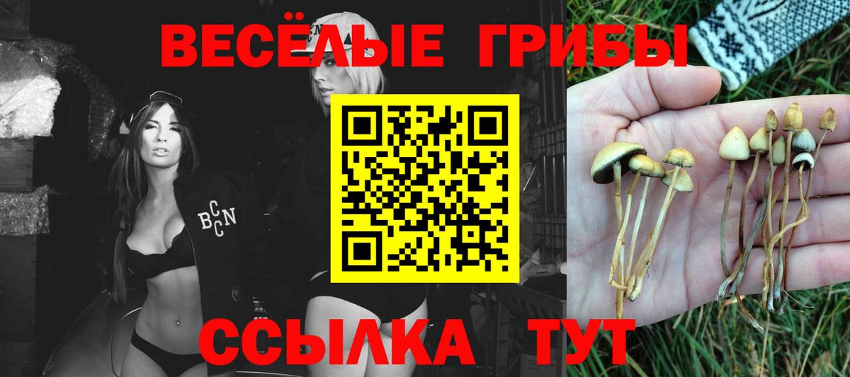 Галлюциногенные грибы мухоморы  Вход с VPN  Псилоцибиновые грибы ЛСД  Спасск-Дальний 